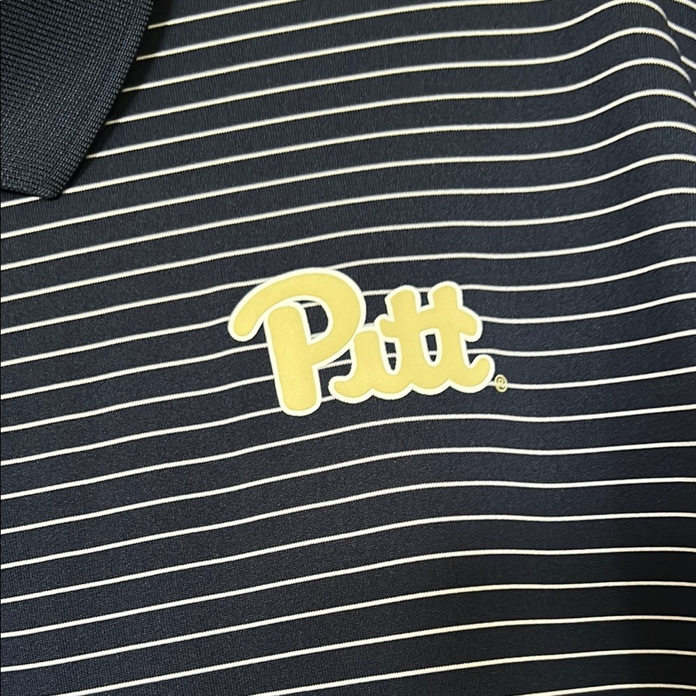 Nike Men's Pitt Blue and White Striped Polo Shirt - Picture 3 of 5